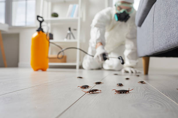 Commercial Kitchen Cockroach Control in Rutledge